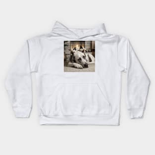 My name is Ned, and now I'm a bed. CUTE Great Dane with Kittens sleeping on top of him. Perfect gift for Vets and Cat and Dog moms and dads Kids Hoodie